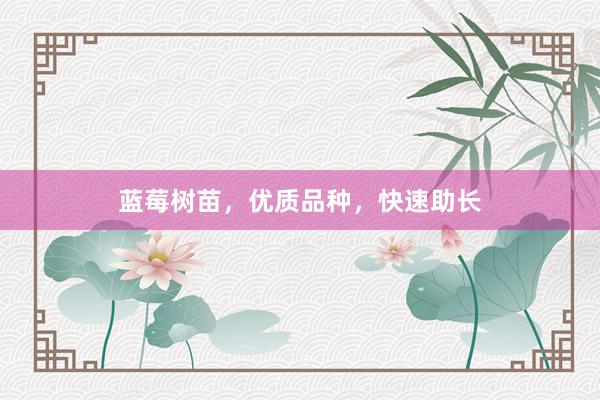 蓝莓树苗，优质品种，快速助长