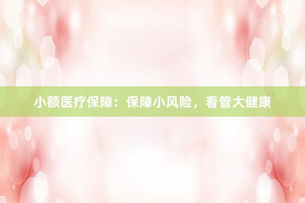 小额医疗保障：保障小风险，看管大健康