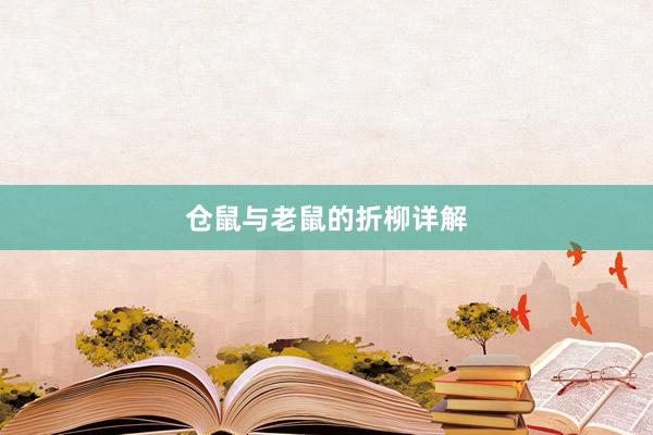 仓鼠与老鼠的折柳详解